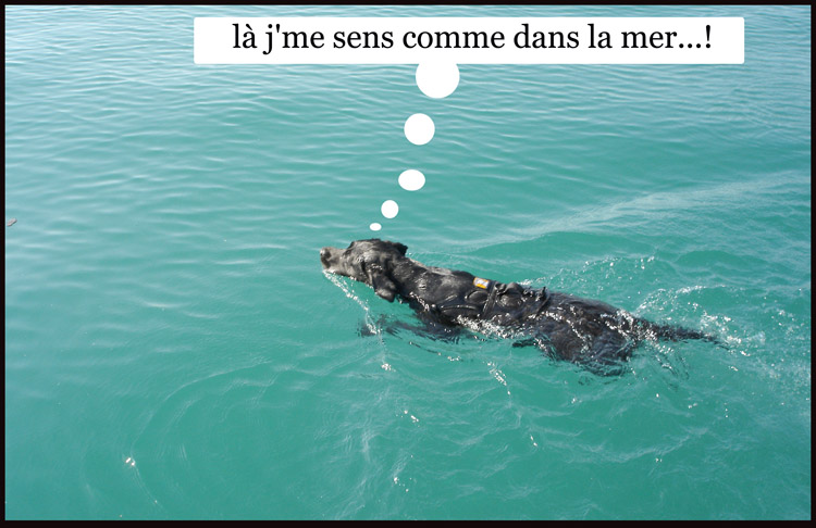 Image h�berg�e par Casimages.com : votre h�bergeur d images simple et gratuit