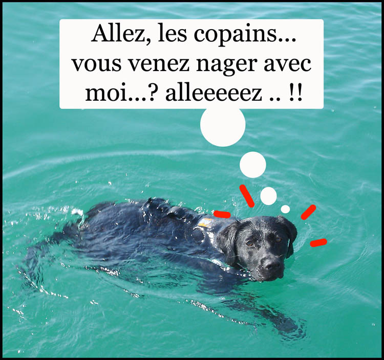 Image h�berg�e par Casimages.com : votre h�bergeur d images simple et gratuit