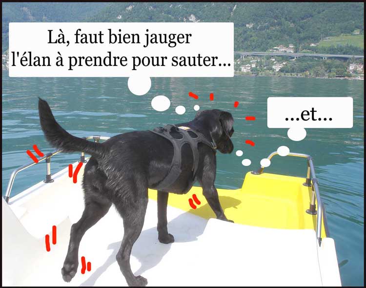 Image h�berg�e par Casimages.com : votre h�bergeur d images simple et gratuit