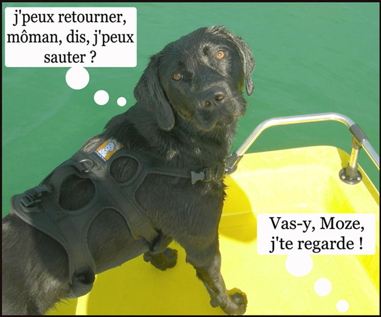 Image h�berg�e par Casimages.com : votre h�bergeur d images simple et gratuit