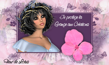 Image hébergée par Casimages.com : votre hébergeur d images simple et gratuit