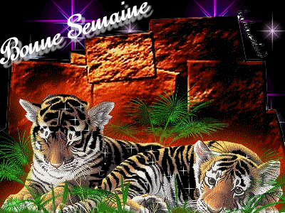 Image hberge par Casimages.com : votre hbergeur d images simple
et gratuit
