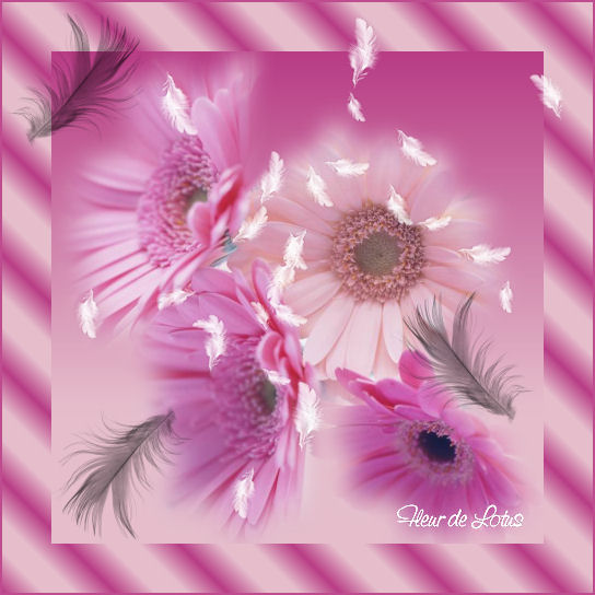 Image hébergée par Casimages.com : votre hébergeur d images simple et gratuit