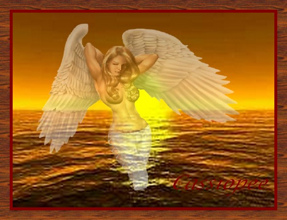 Image hébergée par Casimages.com : votre hébergeur d images simple et gratuit