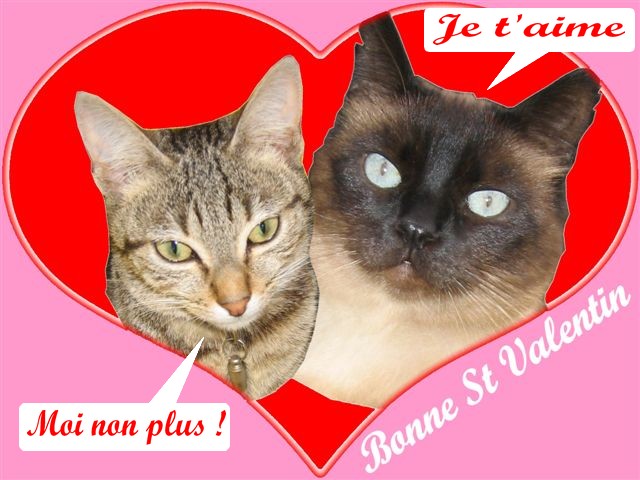 Image hébergée par Casimages.com : votre hébergeur d images simple et gratuit