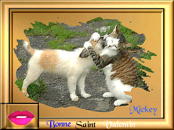 Image hébergée par Casimages.com : votre hébergeur d images simple et gratuit