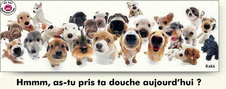 Image hberge par Casimages.com : votre hbergeur d images simple
et gratuit