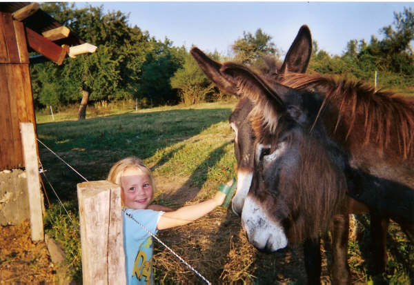 Image hébergée par Casimages.com : votre hébergeur d images simple et gratuit