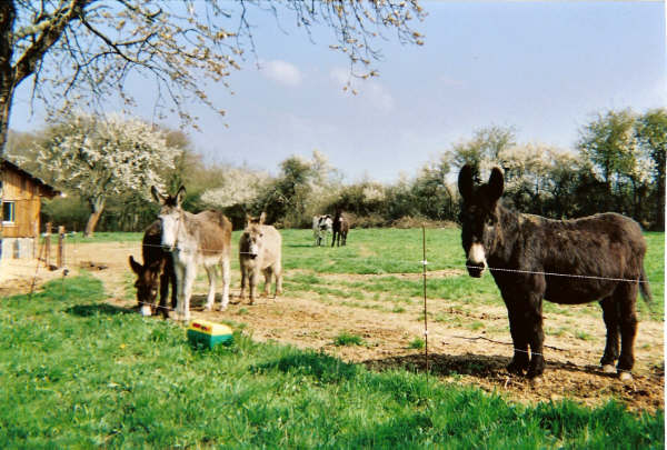 Image hébergée par Casimages.com : votre hébergeur d images simple et gratuit