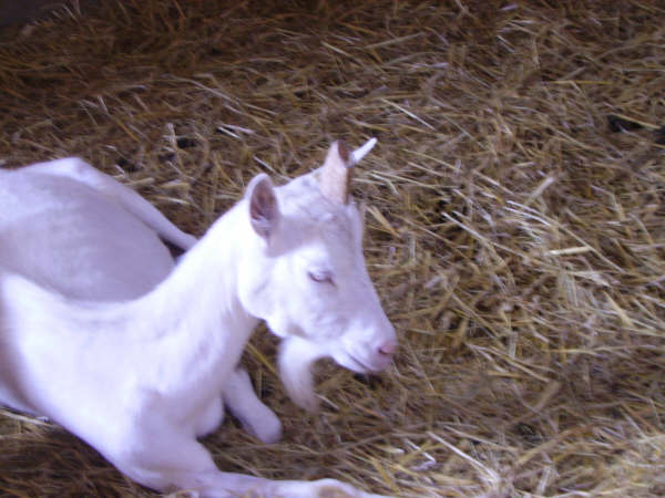 Image hébergée par Casimages.com : votre hébergeur d images simple et gratuit