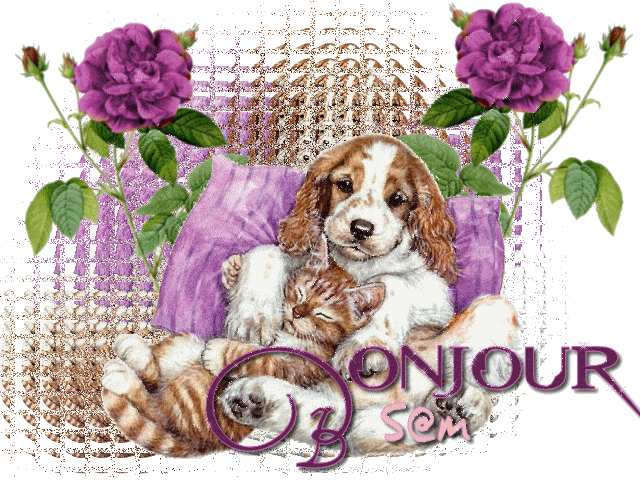 Image h�berg�e par Casimages.com : votre h�bergeur d images simple et gratuit