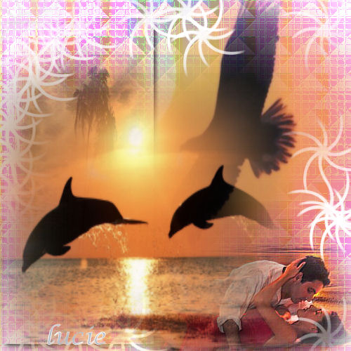 Image hébergée par Casimages.com : votre hébergeur d images simple et gratuit