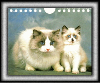 Image hébergée par Casimages.com : votre hébergeur d images simple et gratuit