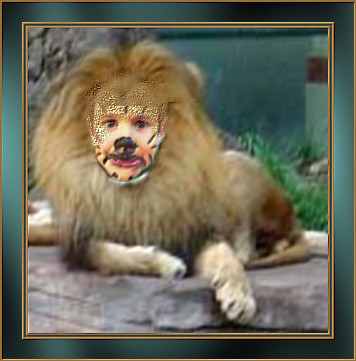 Image hébergée par Casimages.com : votre hébergeur d images simple et gratuit