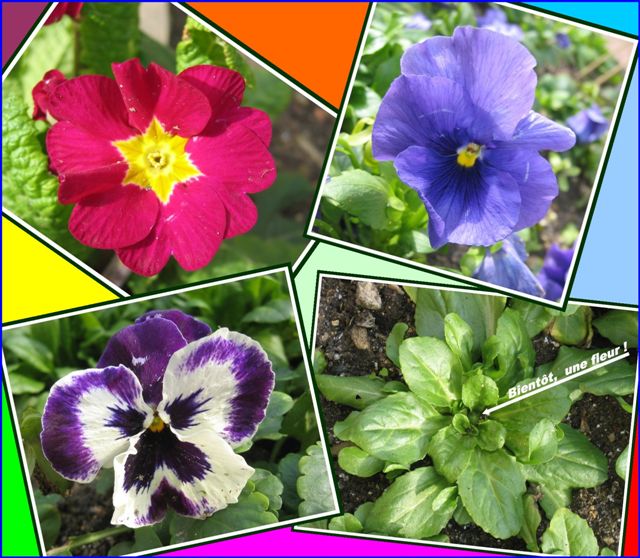 Image hébergée par Casimages.com : votre hébergeur d images simple et gratuit