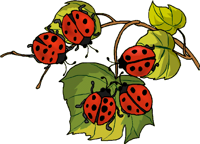 Image hébergée par Casimages.com : votre hébergeur d images simple et gratuit