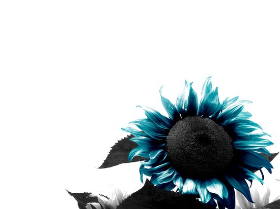 Image h&eacute;berg&eacute;e par Casimages.com : votre h&eacute;bergeur d images simple et gratuit