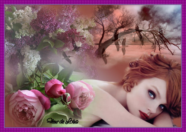 Image hébergée par Casimages.com : votre hébergeur d images simple et gratuit