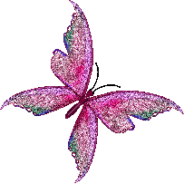 Idées de Papillon