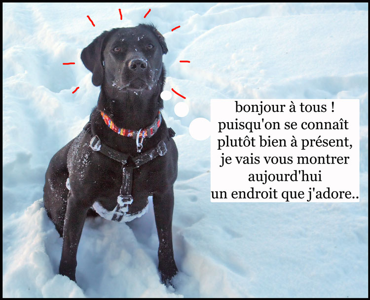 Image h�berg�e par Casimages.com : votre h�bergeur d images simple et gratuit