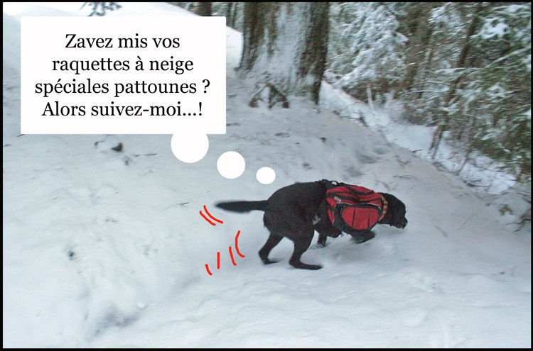 Image h�berg�e par Casimages.com : votre h�bergeur d images simple et gratuit