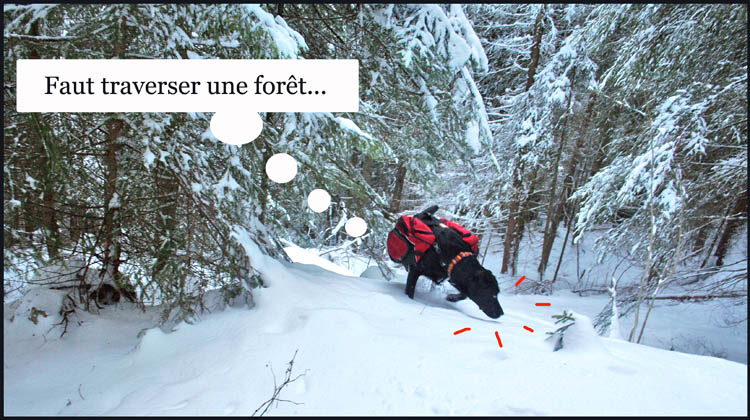 Image h�berg�e par Casimages.com : votre h�bergeur d images simple et gratuit