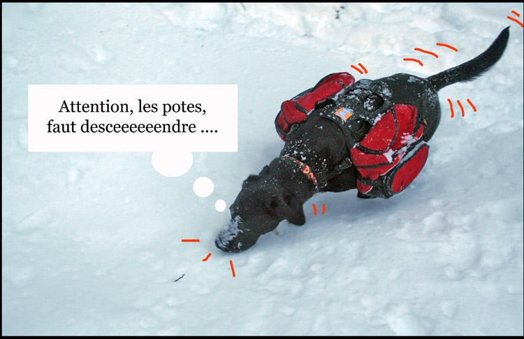 Image h�berg�e par Casimages.com : votre h�bergeur d images simple et gratuit