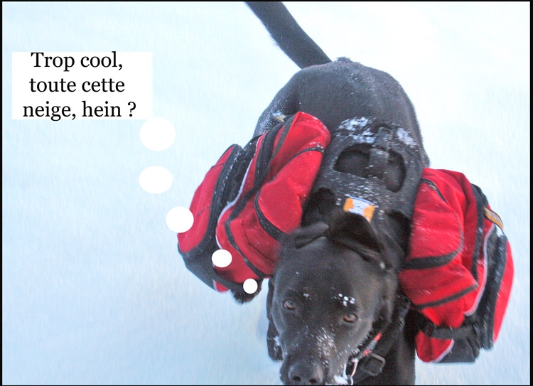 Image h�berg�e par Casimages.com : votre h�bergeur d images simple et gratuit
