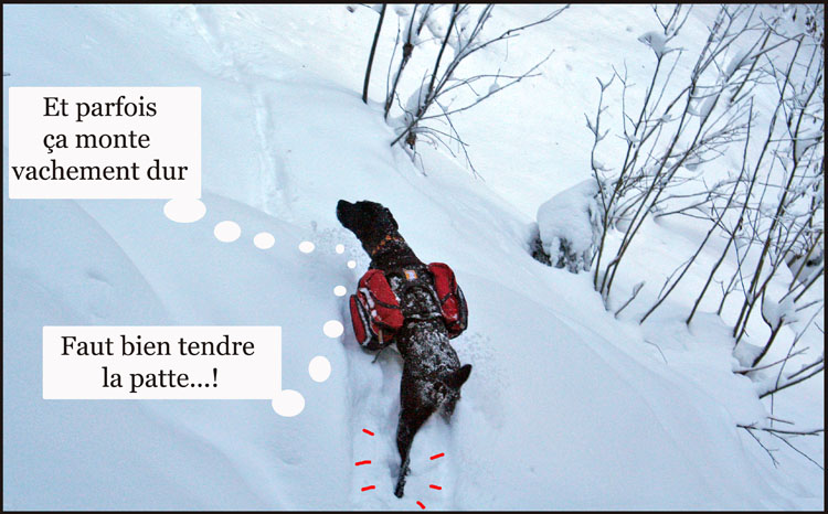 Image h�berg�e par Casimages.com : votre h�bergeur d images simple et gratuit