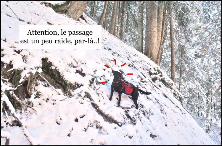 Image h�berg�e par Casimages.com : votre h�bergeur d images simple et gratuit