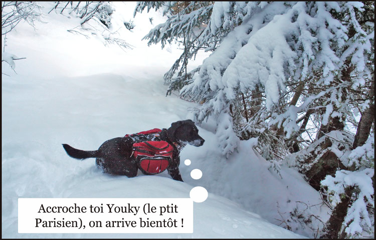Image h�berg�e par Casimages.com : votre h�bergeur d images simple et gratuit