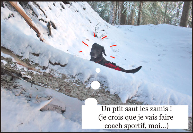 Image h�berg�e par Casimages.com : votre h�bergeur d images simple et gratuit