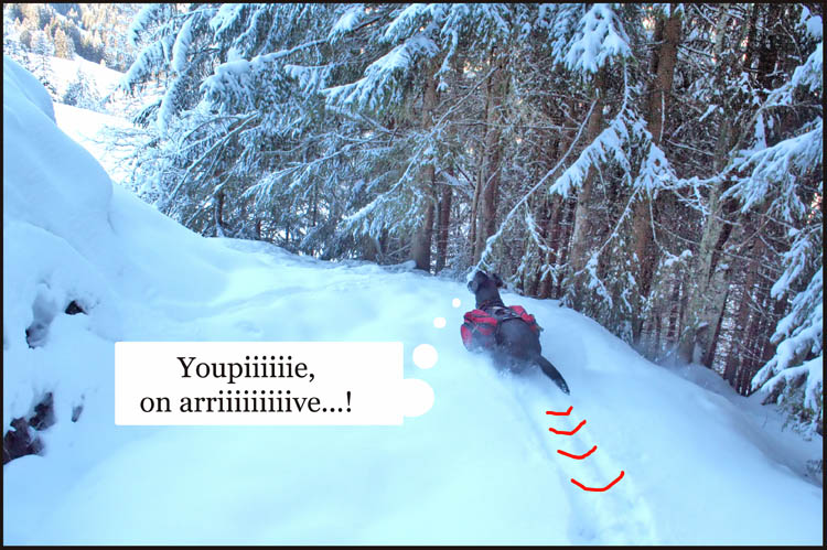 Image h�berg�e par Casimages.com : votre h�bergeur d images simple et gratuit