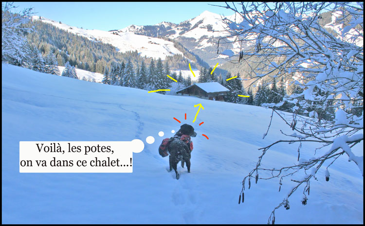 Image h�berg�e par Casimages.com : votre h�bergeur d images simple et gratuit