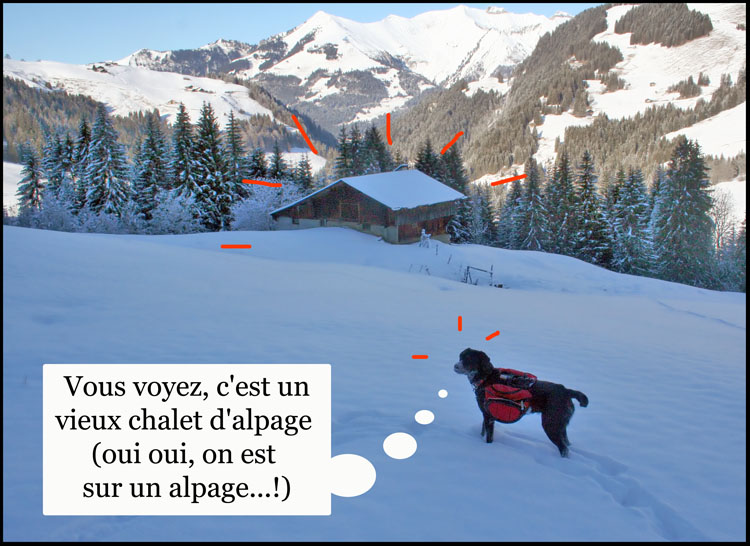 Image h�berg�e par Casimages.com : votre h�bergeur d images simple et gratuit