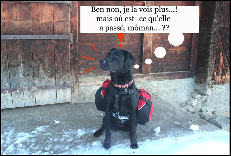 Image h�berg�e par Casimages.com : votre h�bergeur d images simple et gratuit