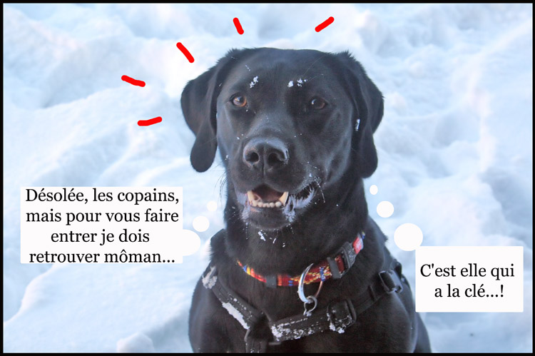 Image h�berg�e par Casimages.com : votre h�bergeur d images simple et gratuit