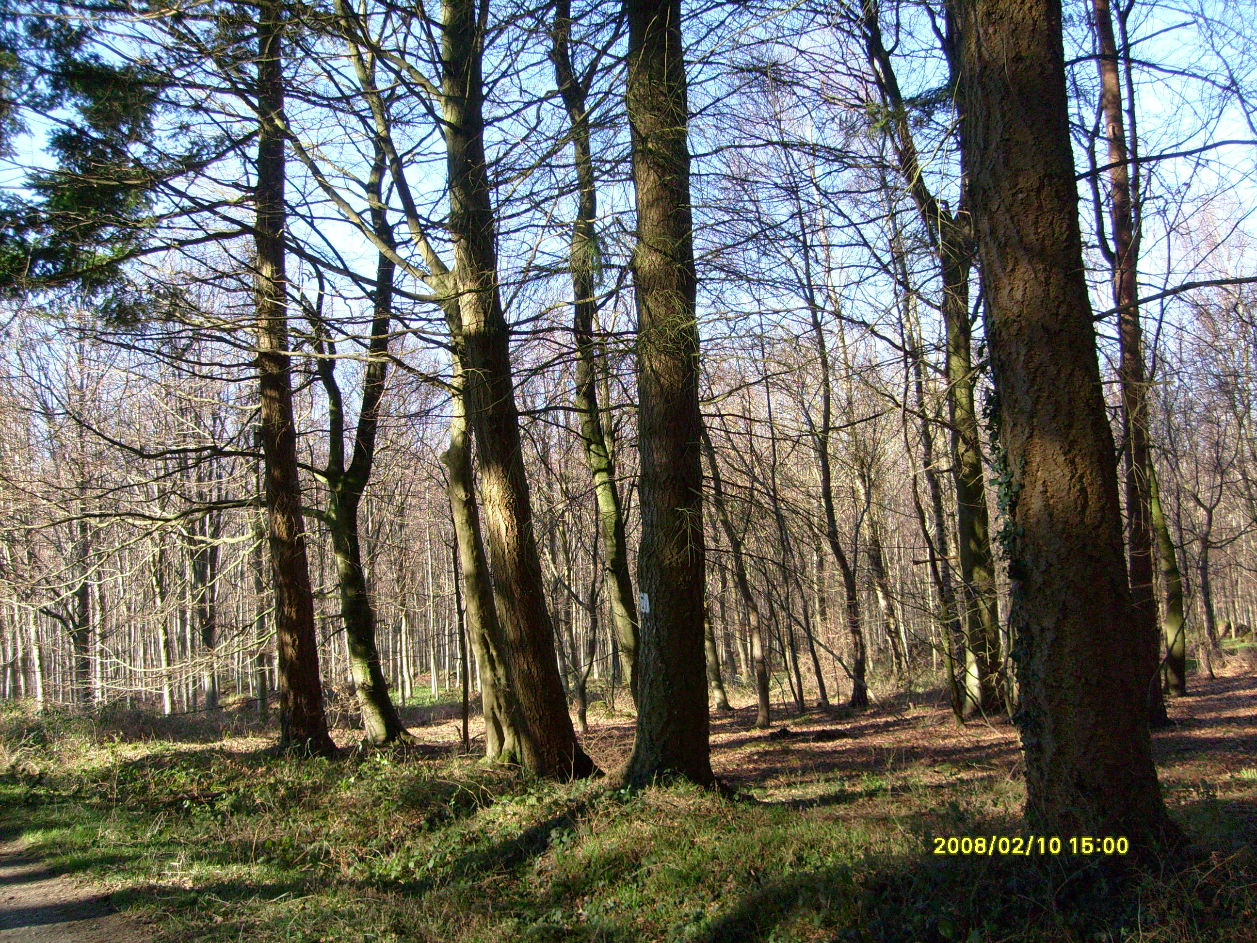 Image h�berg�e par Casimages.com : votre h�bergeur d images simple et gratuit