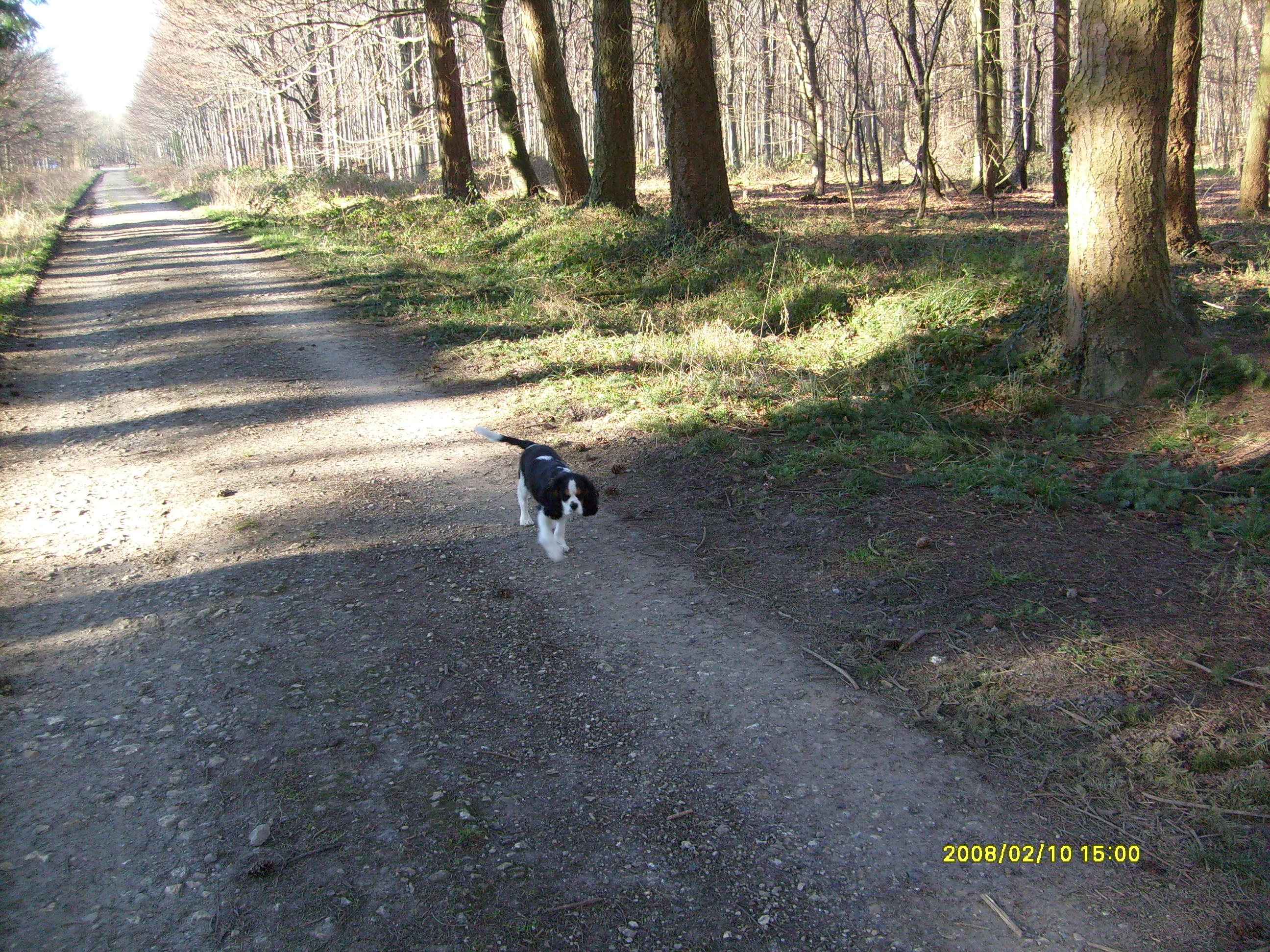 Image h�berg�e par Casimages.com : votre h�bergeur d images simple et gratuit