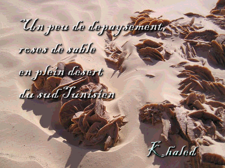 Image hberge par Casimages.com : votre hbergeur d images simple
et gratuit