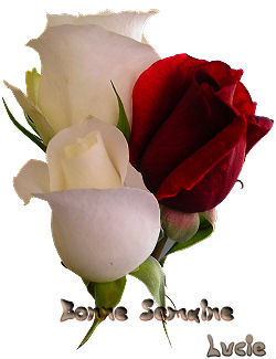 Image hberge par
Casimages.com : votre hbergeur d images simple et gratuit
