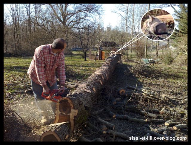 Image hébergée par Casimages.com : votre hébergeur d images simple et gratuit