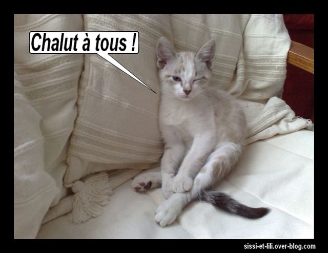 Image hébergée par Casimages.com : votre hébergeur d images simple et gratuit