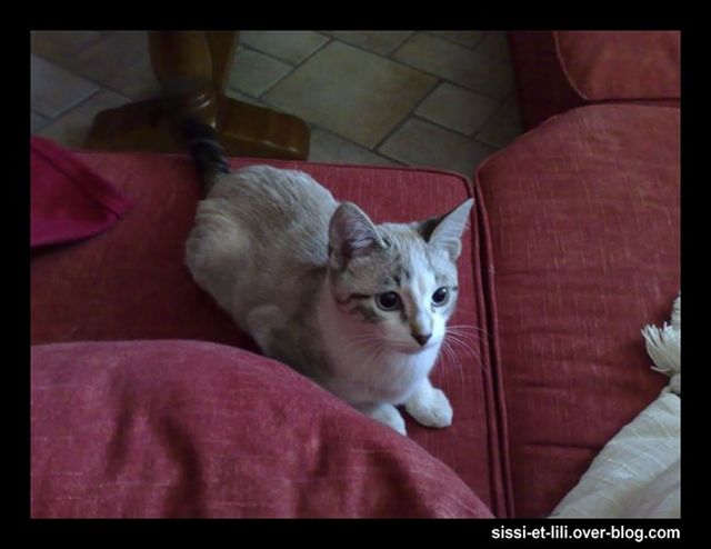 Image hébergée par Casimages.com : votre hébergeur d images simple et gratuit
