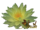 Image hébergée par Casimages.com : votre hébergeur d images simple et gratuit