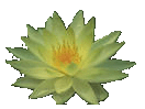 Image hébergée par Casimages.com : votre hébergeur d images simple et gratuit