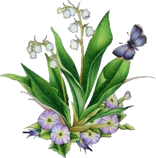 Image hébergée par Casimages.com : votre hébergeur d images simple et gratuit