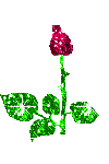 Image hébergée par Casimages.com : votre hébergeur d images simple et gratuit
