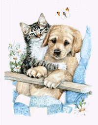 Image hébergée par Casimages.com : votre hébergeur d images simple et gratuit