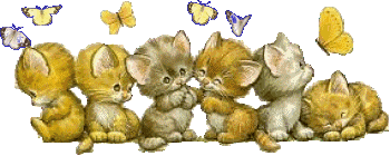 Image hébergée par Casimages.com : votre hébergeur d images simple et gratuit